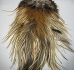 ����� ������ � ������� ����� Whiting Coq de Leon Bronze (badger cream)